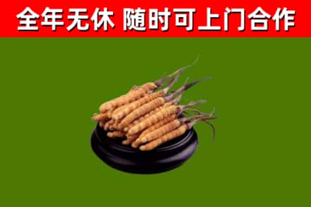 巫山县烟酒回收冬虫夏草.jpg